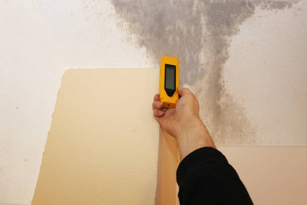 Best Crawl Space Mold Remediation  in Cedartown, GA
